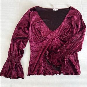 Xoxo Vintage Burgundy Velvet Dark Academia Whimsigoth Women's Top